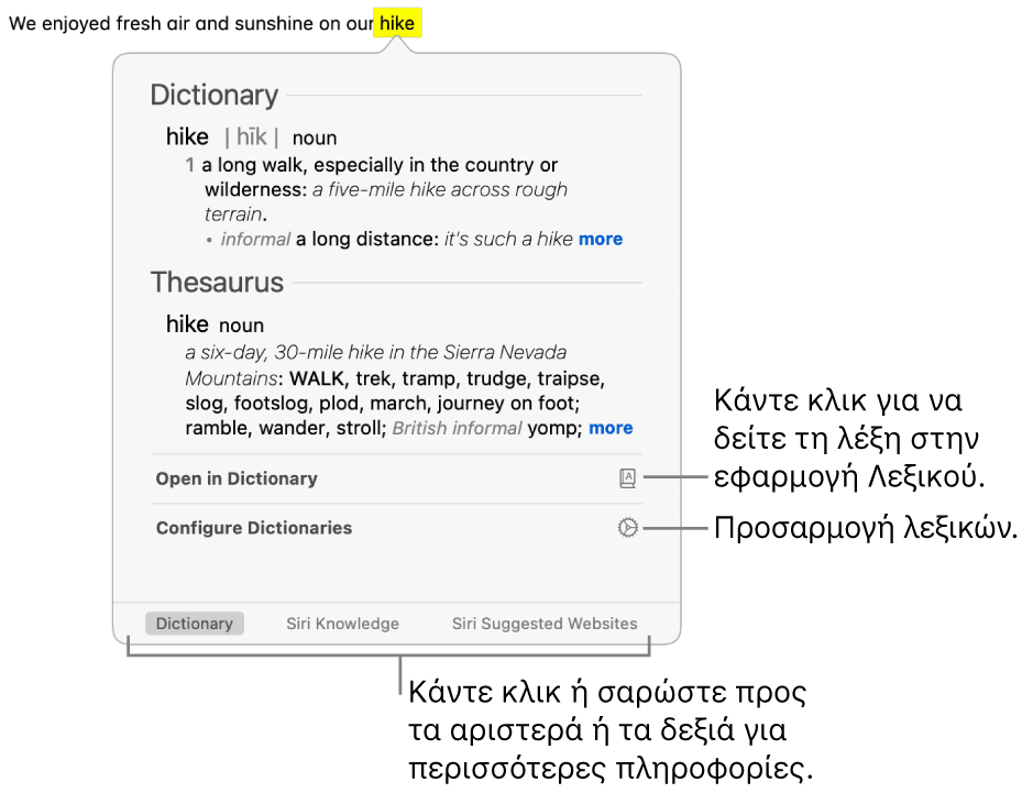 Το παράθυρο της Διερεύνησης που δείχνει ορισμούς για μια λέξη στο Λεξικό και τον Θησαυρό.