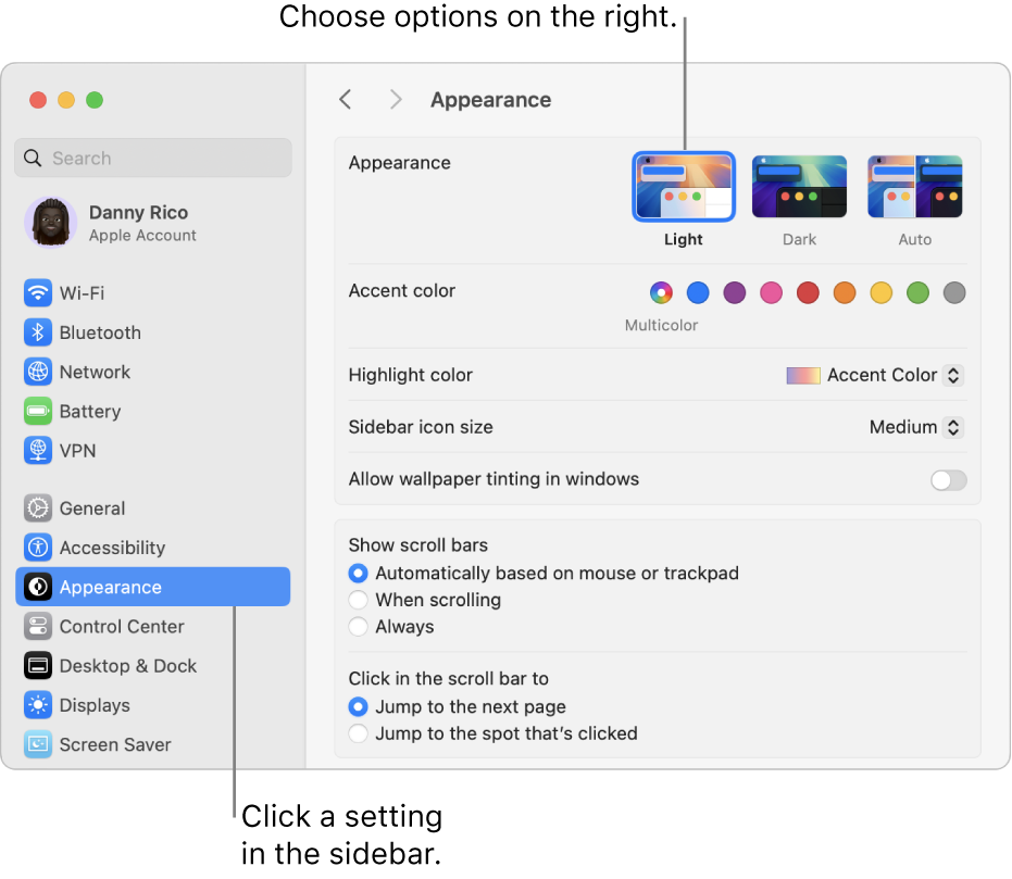 The System Settings window, with Appearance settings selected in the sidebar and Appearance options on the right.