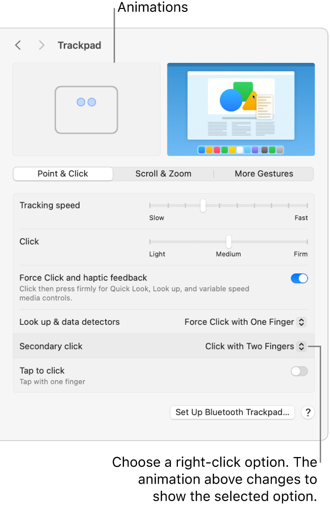 Trackpad options in System Settings showing the secondary click option set to Click with Two Fingers and the corresponding animation.