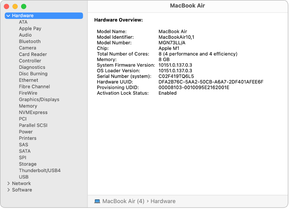 La sección de Vista rápida de hardware de un reporte del sistema.