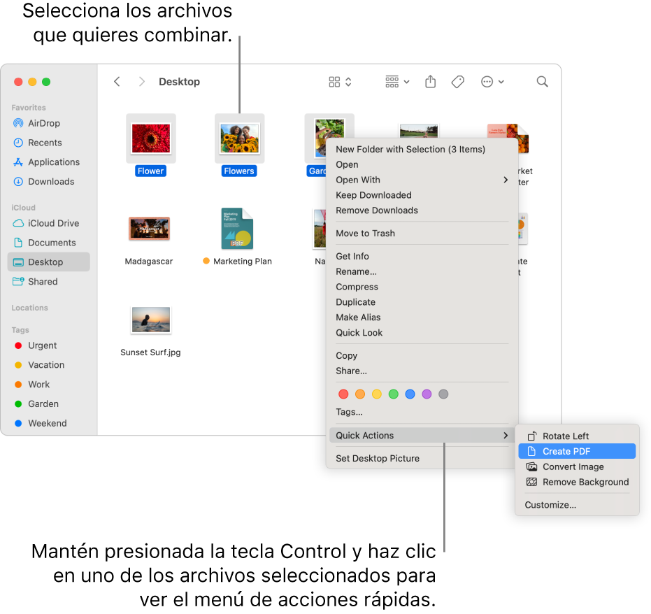 Una ventana del Finder con archivos y carpetas, donde hay seleccionados tres archivos y Crear PDF está resaltado en el Menú de acciones rápidas.