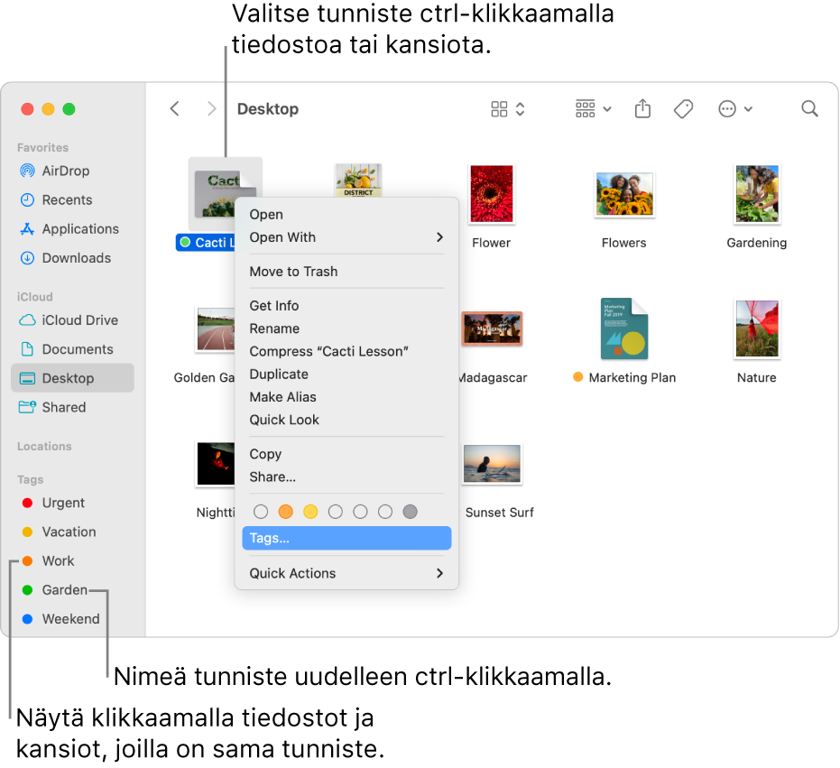 Finder-ikkuna, joka sisältää tunnisteilla merkittyjä tiedostoja ja kansioita, ja kansio on valittuna. Pikakomentovalikossa on värivaihtoehtoja tunnisteille, ja Tunnisteet on korostettuna.