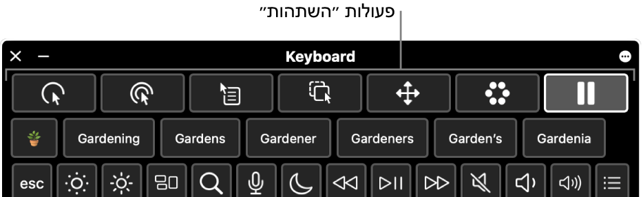 כפתורים של פעולות ״השתהות״ הממוקמים לאורך החלק העליון של ״מקלדת הנגישות״.