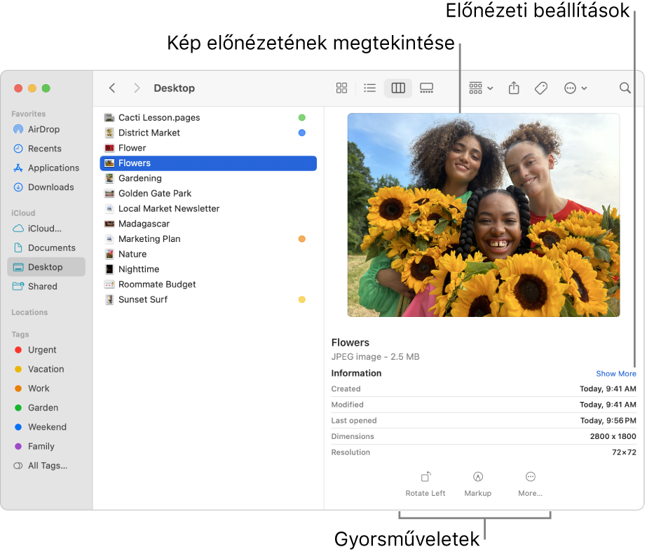 Egy Finder-ablak, amelynek a bal oldalán a Finder-oldalsáv, míg a közepén a kijelölt képfájl látható. A jobb oldalon az Előnézeti panelen a kép látható, középen a kép adatai, míg alul a Gyorsműveletek gombok láthatók.