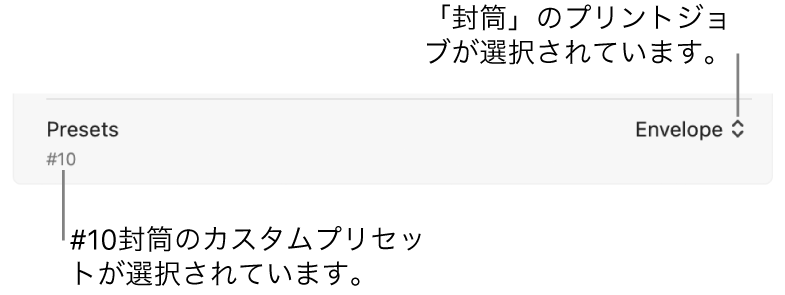「プリント」ダイアログの「プリセット」セクション。封筒のプリントジョブのプリセットと、#10封筒のカスタムプリセットが選択されています。