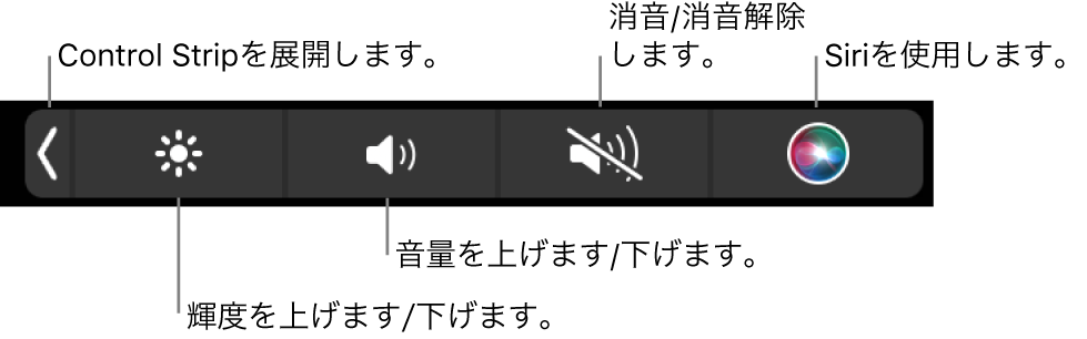 折りたたまれたControl Stripには、左から右へ順に、Control Stripを展開するボタン、ディスプレイの輝度および音量を調整するボタン、消音にしたり消音を解除したりするボタン、およびSiriを使用するボタンが含まれています。