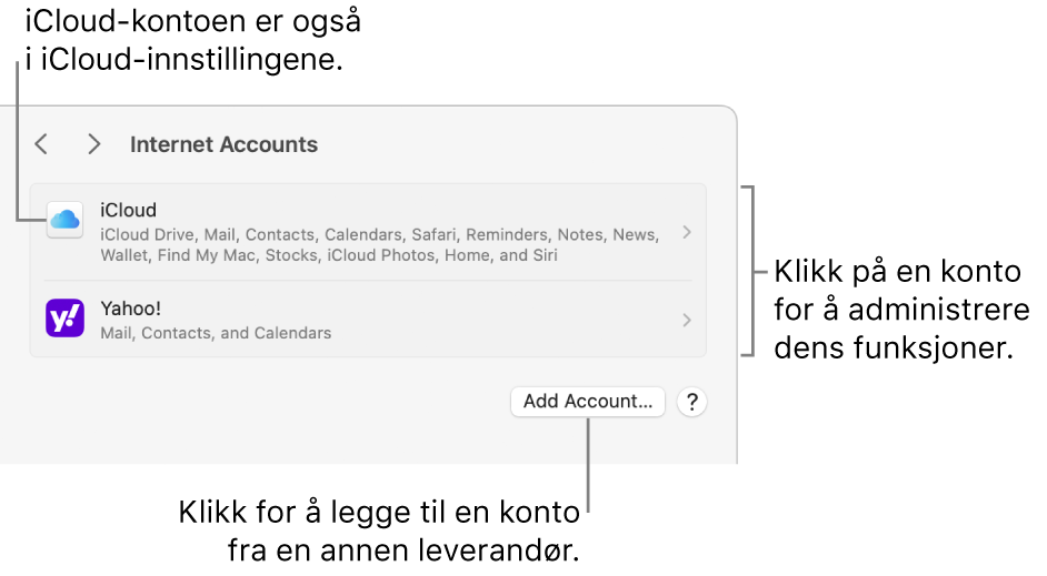 Internettkontoer-innstillingene som viser kontoer som er konfigurert på Macen.