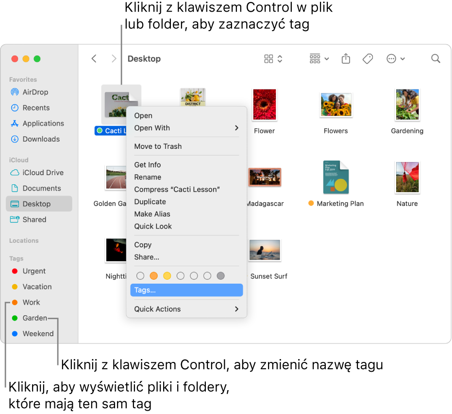 Okno Findera zawierające otagowane pliki i foldery. Jeden plik jest zaznaczony. W menu skrótów widoczne są tagi różnych kolorów. Wyróżniona jest pozycja Tagi.