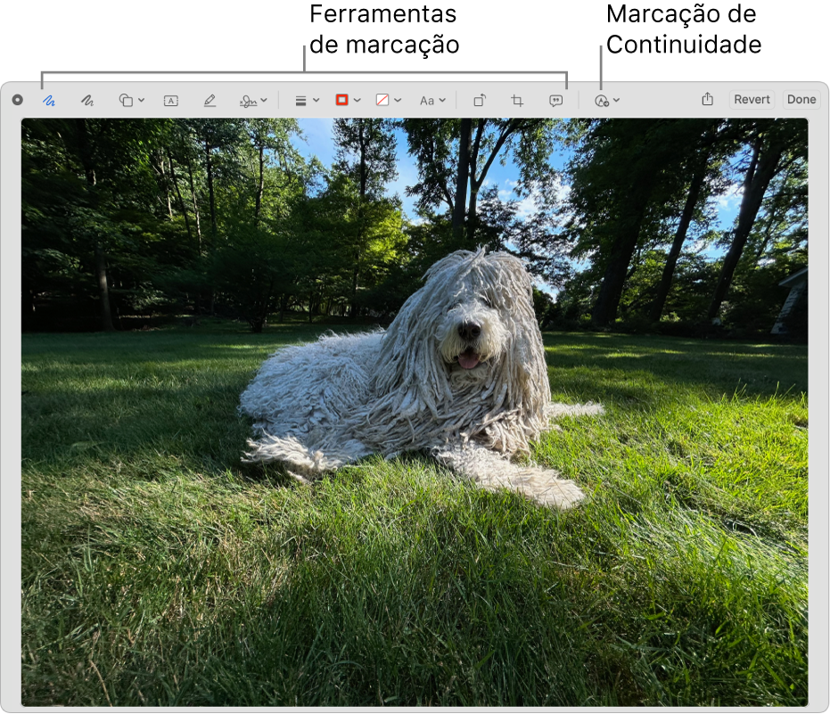 Uma imagem na janela Marcação a mostrar a barra de ferramentas de Marcação e a ferramenta para clicar para usar a Marcação do Continuidade num iPhone ou iPad que esteja por perto.