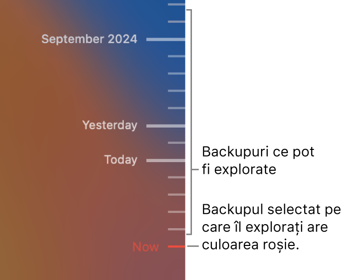 Bifele în cronologia de backup. Bifa roșie indică backupul pe care îl explorați.