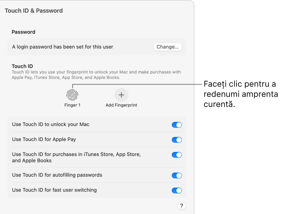 Configurările Touch ID și parolă afișând o amprentă gata de utilizat pentru deblocarea Mac-ului.