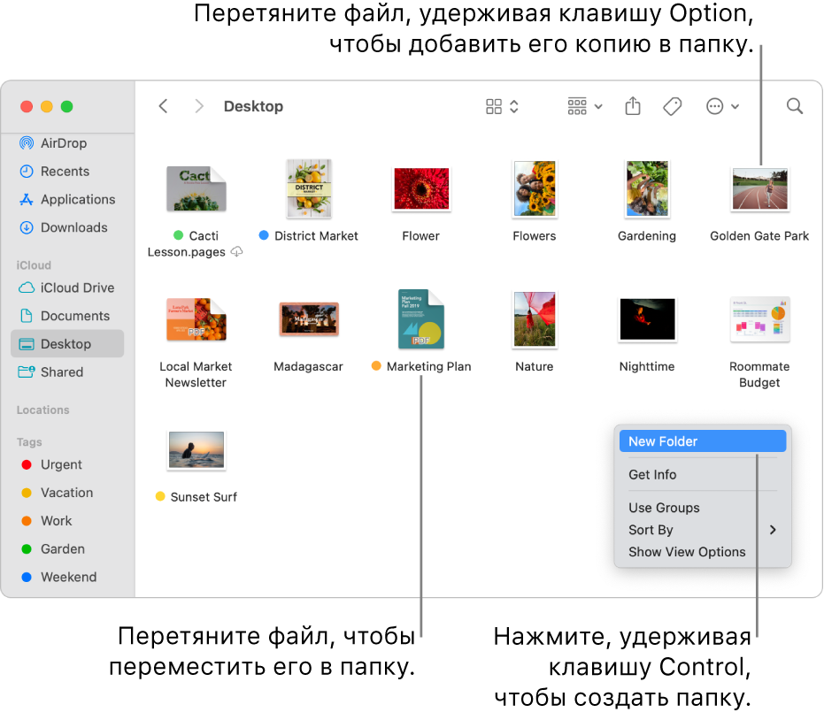 Показано окно Finder, в котором содержатся файлы и папки. В контекстном меню выделено «Новая папка».