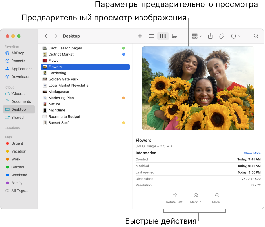 Окно Finder с боковым меню Finder слева и выбранным файлом изображения в середине окна. Справа находится панель предварительного просмотра: показано изображение, под ним — свойства изображения, а внизу — кнопки быстрых действий.