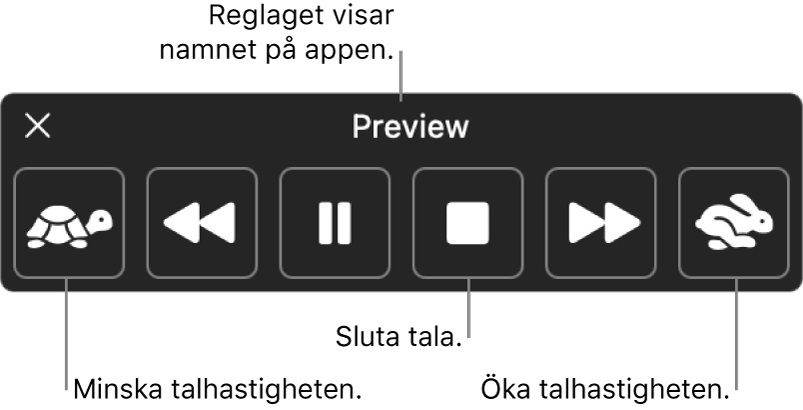 Kontrollpanelen som kan visas när datorn läser upp markerad text. Kontrollpanelen har sex knappar som, från vänster till höger, gör det möjligt att sänka uppläsningshastigheten, hoppa tillbaka en mening, spela upp eller pausa uppläsningen, stänga av uppläsningen, hoppa fram en mening och öka uppläsningshastigheten. Namnet på appen visas högst upp på kontrollpanelen.