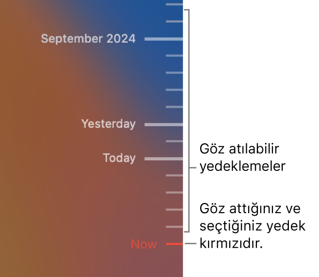 Yedekleme zaman çizelgesindeki işaret çentikleri. Kırmızı işaret çentiği taramakta olduğunuz yedeklemeyi belirtir.