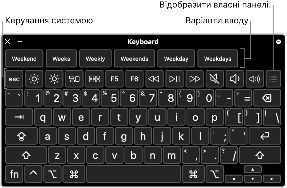 Клавіатура доступності з варіантами вводу вгорі. Нижче наведено рядок кнопок для елементів керування системою, як-от коригування яскравості дисплея та відображення спеціальних панелей.