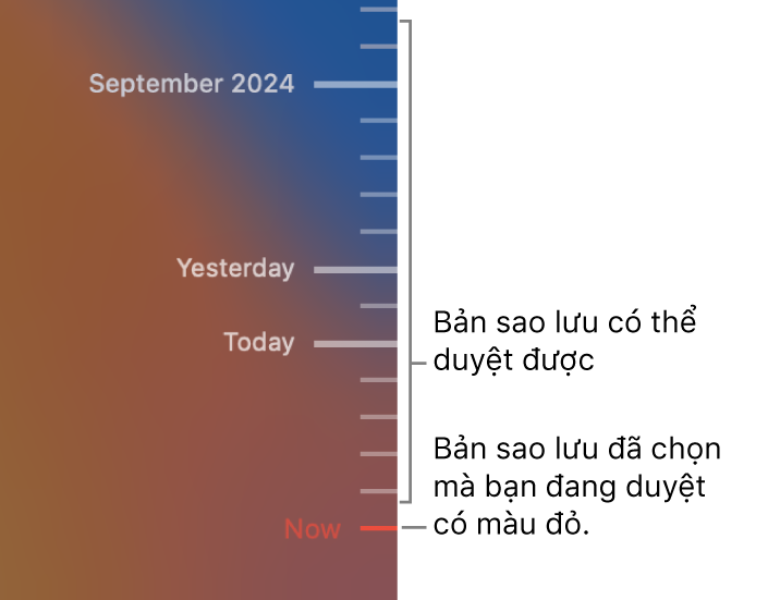 Dấu biểu thị trong dòng thời gian sao lưu. Dấu biểu thị màu đỏ biểu thị bản sao lưu bạn đang duyệt.