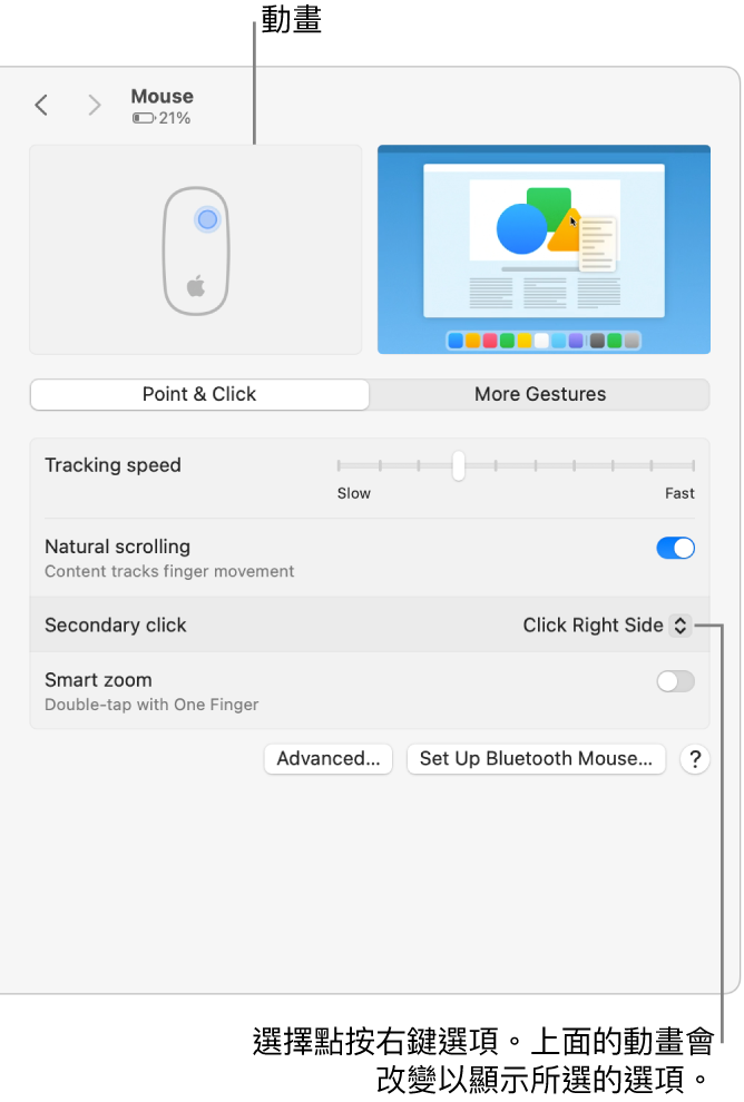 「系統設定」中的「滑鼠」選項顯示輔助按鈕選項已設定為「按一下右側」以及對應的動畫。