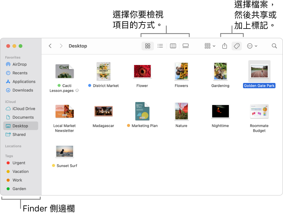 Finder 視窗，左側顯示 Finder 側邊欄。視窗最上方的四個按鈕用於更改項目在視窗中顯示的方式，其他按則用於整理和共享項目。