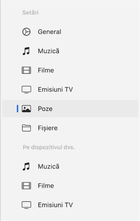 Bara laterală afișând opțiunea Poze selectată.