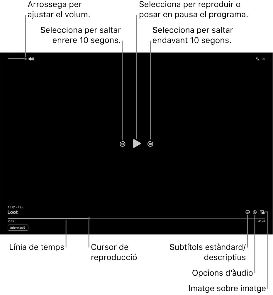 Els controls de reproducció al visor, entre els quals s’inclouen botons per reproduir o posar en pausa, avançar o retrocedir, i ajustar el volum.