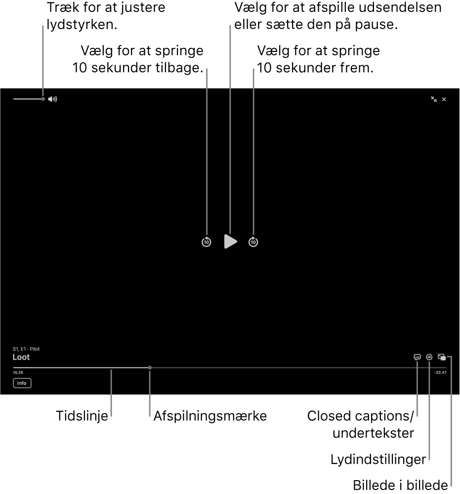 Betjeningspanelet til afspilning i afspilleren, herunder knapper til afspilning, pause, spring frem eller tilbage og justering af lydstyrken.