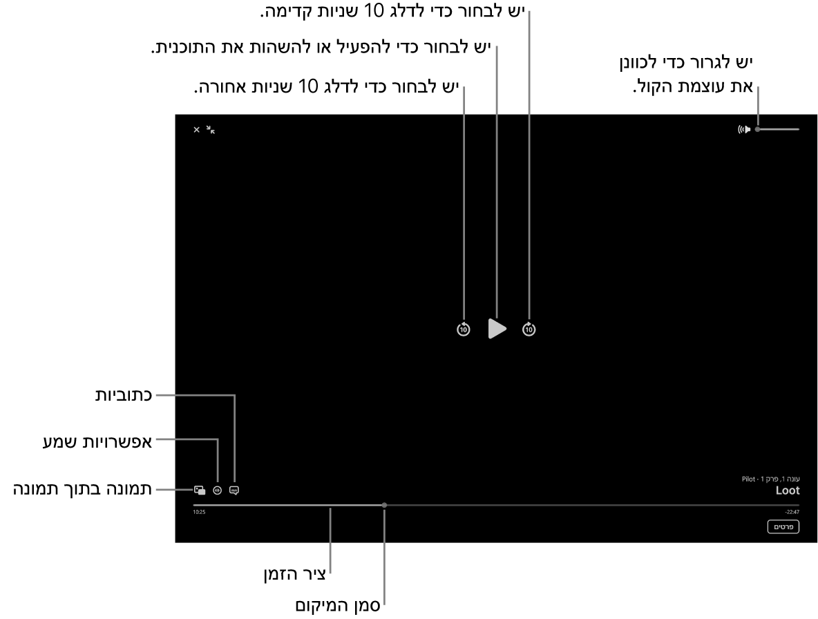 פקדי הפעלה במציג, כולל כפתורים להפעלה ולהשהיה, לדילוג קדימה ואחורה ולשינוי עוצמת הקול.