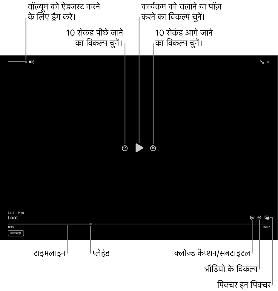 व्यूअर में प्लेबैक नियंत्रण, जिसमें चलाने या पॉज़ करने, आगे या पीछे स्किप करने और वॉल्यूम ऐडजस्ट करने के बटन शामिल हैं।