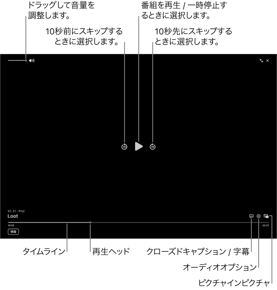 ビューアの再生コントロール。再生または一時停止、前後にスキップする、音量を調整するといった操作を行うためのボタンが含まれています。