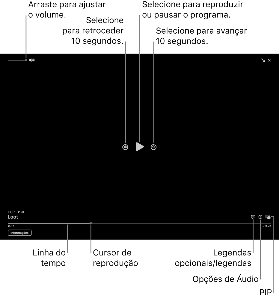 Controles de reprodução no visualizador, incluindo botões para reproduzir ou pausar, avançar ou retroceder e ajustar o volume.