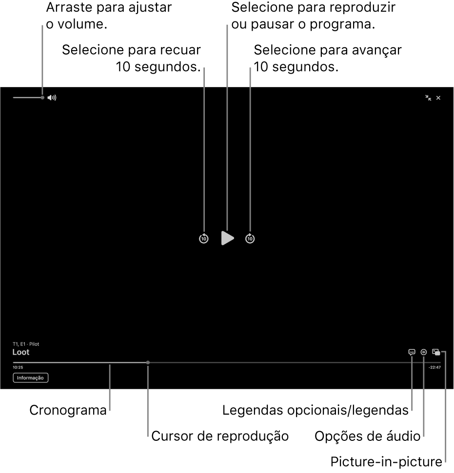 Controlos de reprodução no visualizador, incluindo os botões reproduzir, pausar, avançar ou retroceder, e ajustar o volume.