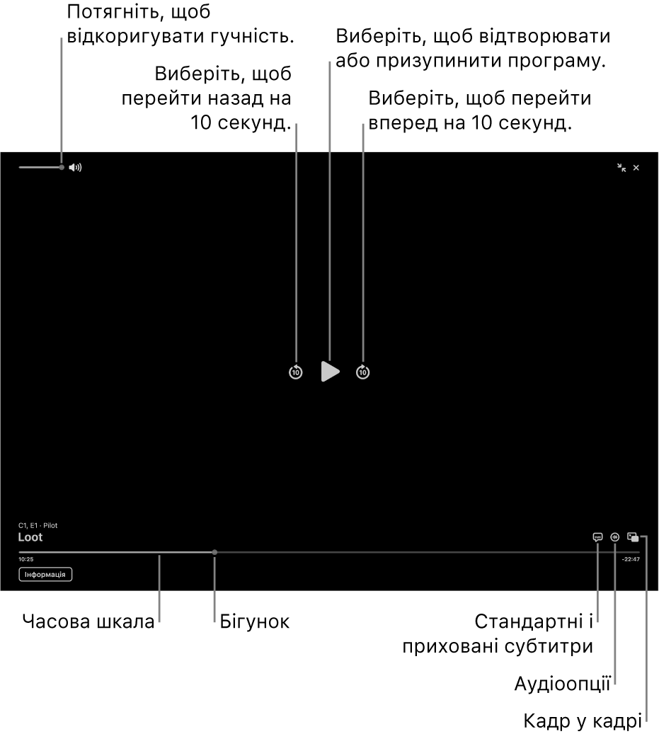 Елементи керування відтворенням в переглядачі, включно з кнопками відтворення і призупинення, пропуску вперед і назад та регулювання гучності.