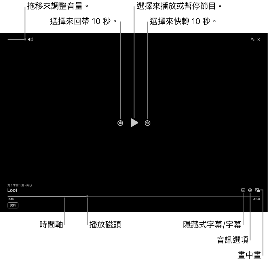 檢視器中的播放控制項目，包括播放或暫停、快轉或回帶以及調整音量的按鈕。