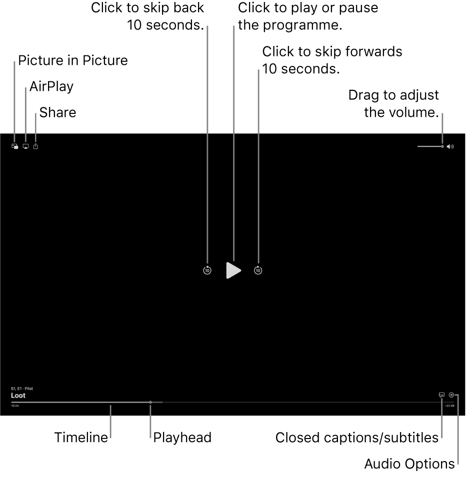 Playback controls in the viewer, including buttons to play or pause, skip forwards or backwards, and adjust volume.