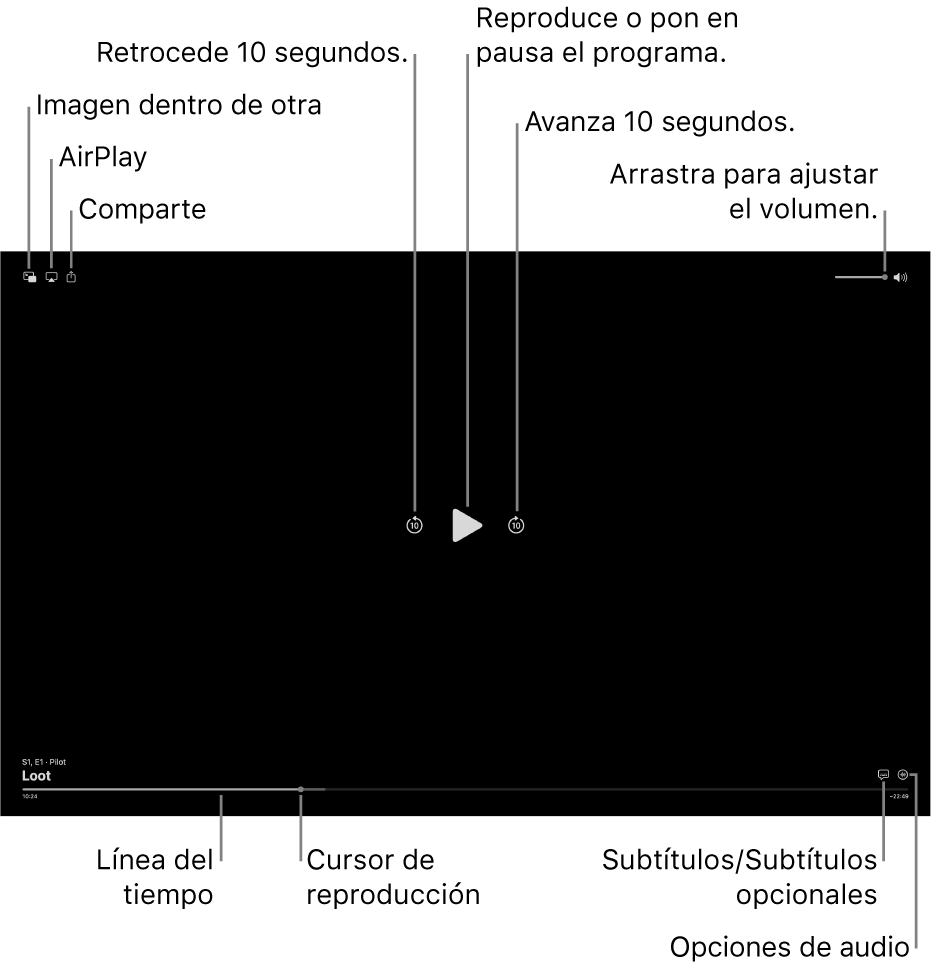 Controles de reproducción en el visor, incluyendo botones para iniciar la reproducción o pausar, avanzar o retroceder, y ajustar el volumen.