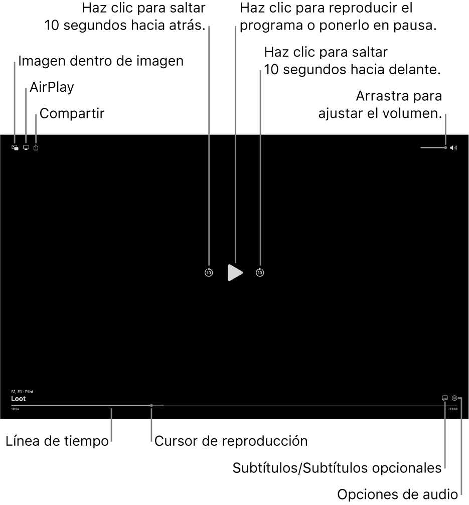 Controles de reproducción del visor, con botones para reproducir, pausar, avanzar, retroceder y ajustar el volumen.