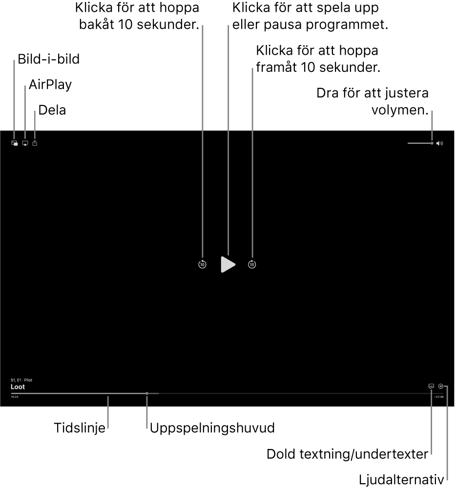 Uppspelningsreglagen i visningsfönstret innehåller knappar för att spela upp eller pausa, hoppa framåt eller bakåt och justera volymen.