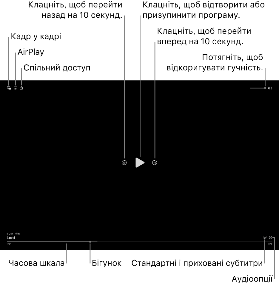 Елементи керування відтворенням в переглядачі, включно з кнопками відтворення і призупинення, пропуску вперед і назад та регулювання гучності.