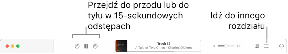 Odtwarzacz audiobooka w aplikacji Książki pokazuje od lewej do prawej, przycisk Szybkość odtwarzania, przyciski Przejdź do przodu, Pauza i Przejdź do tyłu, tytuł oraz autora odtwarzanego audiobooka, suwak głośności, przycisk AirPlay, przycisk Spis treści oraz przycisk dodatkowych opcji.