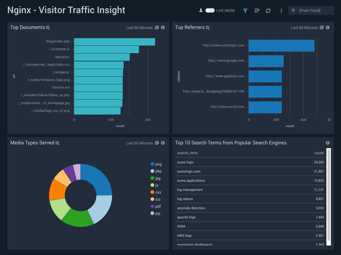 Nginx-VisitorTrafficInsight