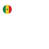 Logiciel padel sénégal