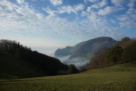 Roggen Oensingen