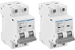 Heschen 2 unidades Disyuntor en miniatura DC, HSB6C-DC, 2 polos, DC500V 32A, disyuntor fotovoltaico, para sistema de paneles 