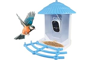 Comedero Inteligente para pájaros PNI MyBird PT035 con cámara Wi-Fi de 4MP y Panel Solar de 3W, depósito de Comida de 2l