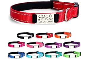 Ibera gifts - Collar Perro Personalizado con Nombre para Mascotas Grandes, Reflectante, Ajustable De 40 a 60 cm, Grabado Láse