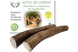 ARTISAN GIFT CO Asta de Ciervo para Perros, Mordedores 100% Naturales - Peso Total 70 gr.+ (XS Pack 2 unds.)