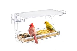 WELDUN Comederos de pájaros de Ventana para pájaros pequeños con 2 divisores, comederos acrílicos Transparentes para pájaros