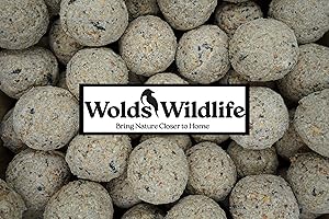 Wolds Wildlife, Wild Bird - Bolas de sebo de Alta energía y proteínas, Caja de 160 x 80 g