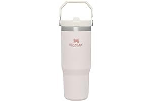 Stanley IceFlow Stainless Steel Tumbler with Straw - Vacuum Insulated Water Bottle for Home, Office or Car Reusable Cup with 