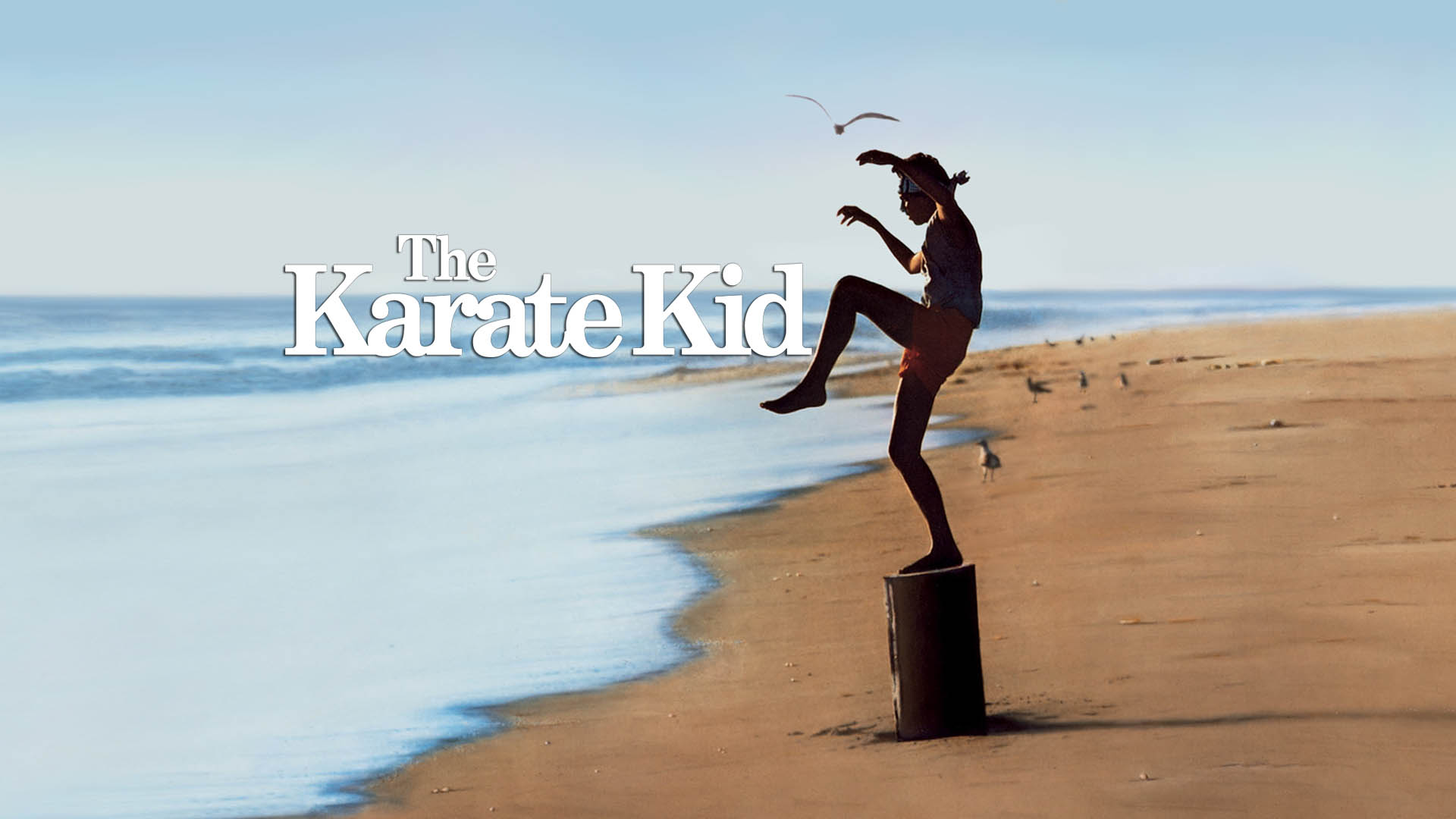 The Karate Kid (1984)